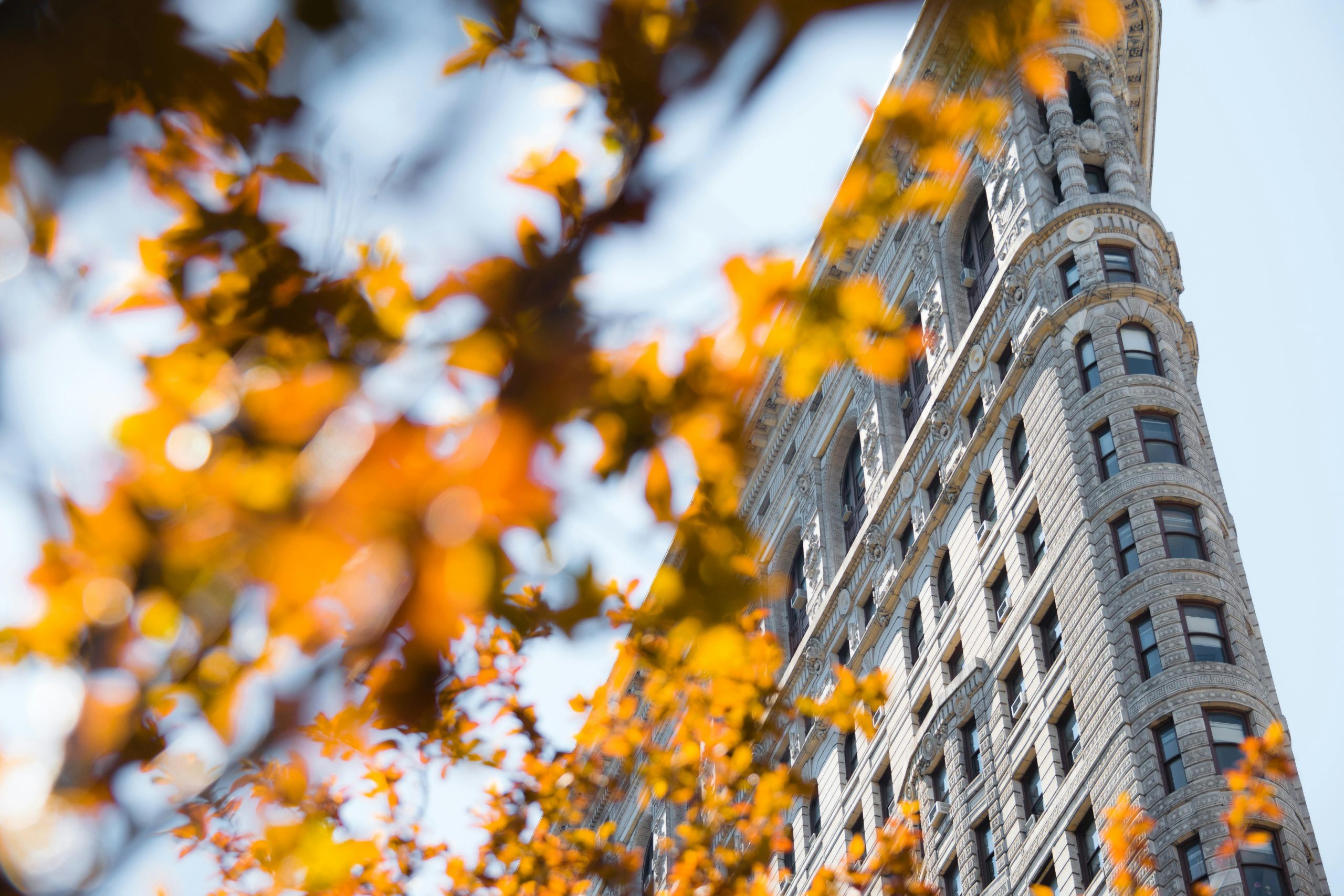 Iconic Flatiron Building in New York City framed by vibrant autumn leaves under clear skies.